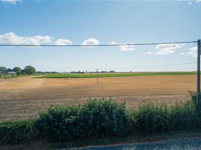 Picture 22